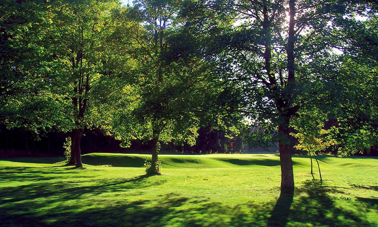 Gesundheitsspaziergang