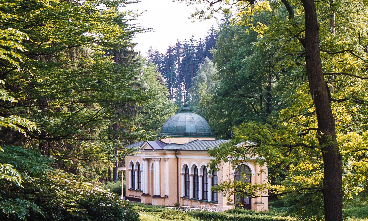 Metternichova cesta