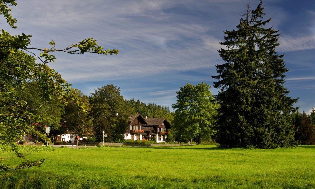 Into the heart of the Slavkov Forest